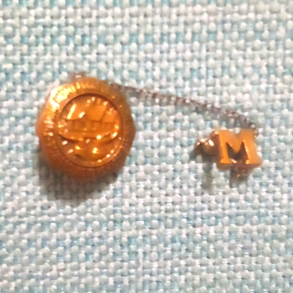 Vintage future homemakers of America toward New horizons lapel pin - Picture 4 of 4